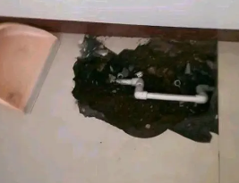 来凤卫生间测漏水多少钱